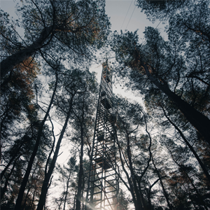 ICOS tower in an evergreen forest in Loobos, Netherlands ICOS tower in an evergreen forest in Loobos, Netherlands